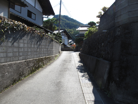20161104hike (6)